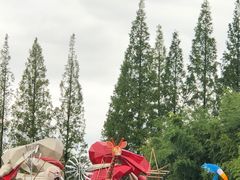 -黄海国家森林公园