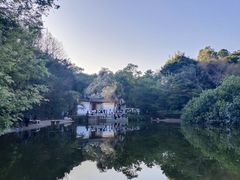 -深圳国际园林花卉博览园