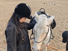 -北京群众马术培训基地