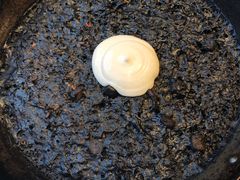 -Tapa Tapa