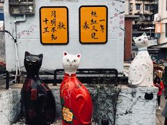 -猫咪博物馆(顶澳仔猫街店)