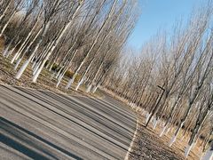-东郊湿地公园