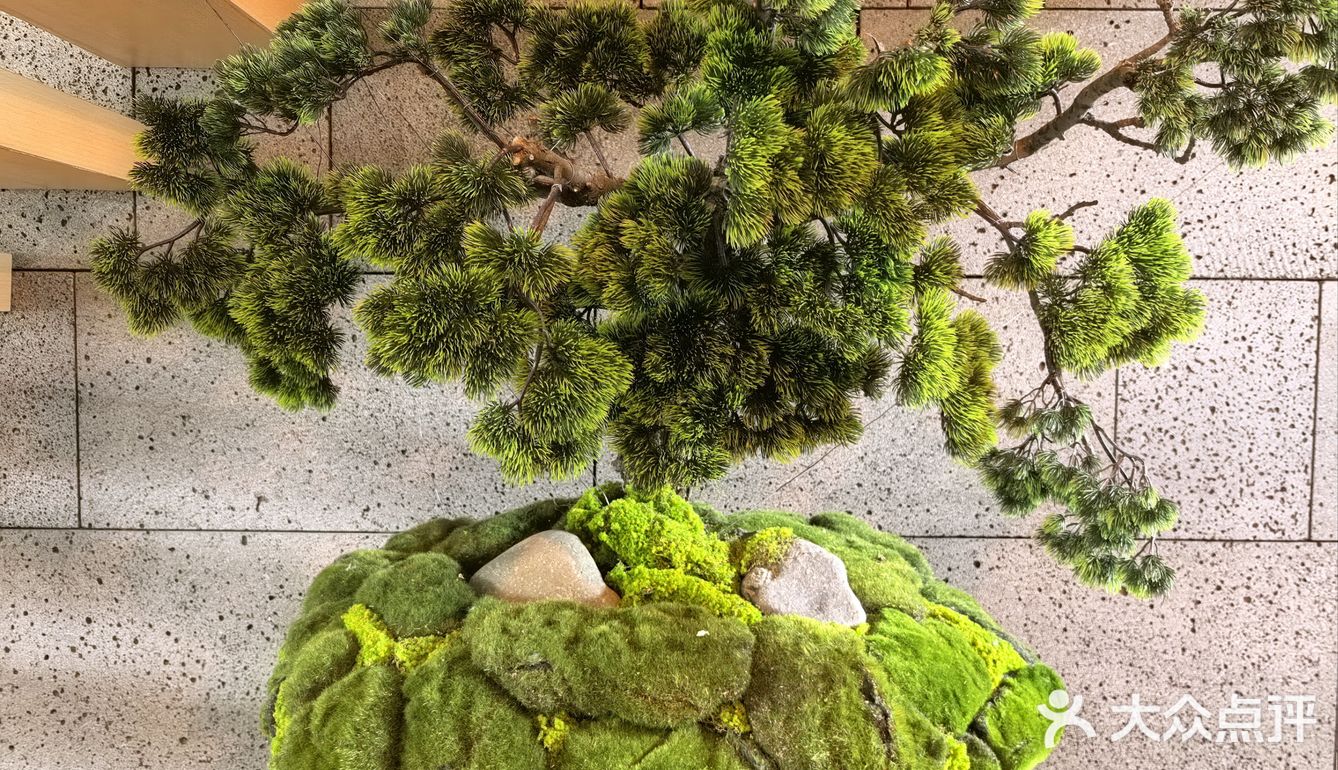 延吉必去咖啡店-松谭咖啡