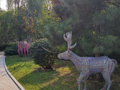 -南宫五洲植物乐园