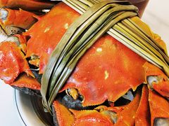 -蟹天蟹地农家菜·阳澄湖大闸蟹(浅水湾店)