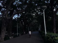 -荔湾湖公园