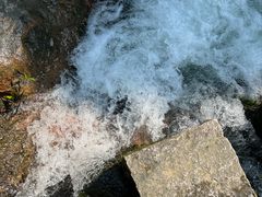 -广州白江湖森林公园