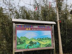 -靖西鹅泉风景区