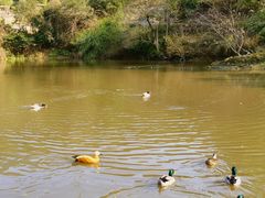 -泉州海丝野生动物世界