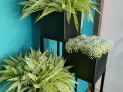 -圣典成人钢琴俱乐部(国贸旗舰校区)