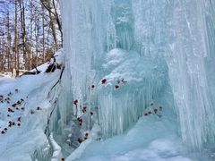 -洛阳白云山景区