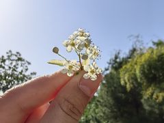 -南京市无想山景区