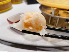-采蝶轩