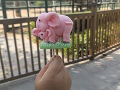 -秦皇岛野生动物园