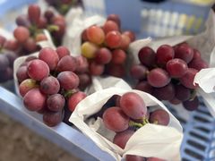 -马陆小张葡萄园农家乐