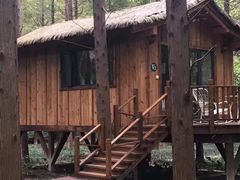 -黄海国家森林公园