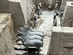 -秦始皇帝陵博物院(兵马俑)