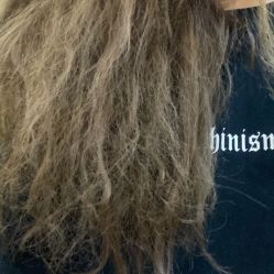 -风向标WIND VANE SALON