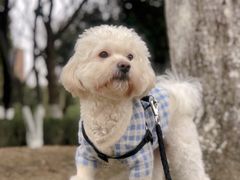 -杭州城北体育公园