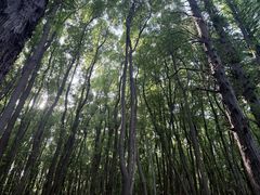 -同里国家湿地公园