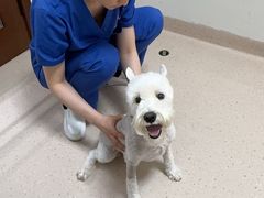 -全心全意动物诊疗中心医院(北苑店)