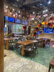 -卡通尼·Safari非洲探索乐园·生日会(金桥国际商业广场店)