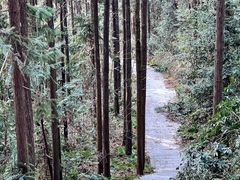 -潜山国家森林公园