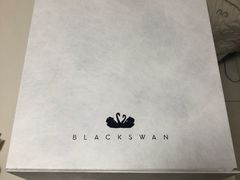 -BLACKSWAN黑天鹅(环球店)