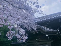 -东京国立博物馆