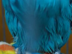 -雨林宠物医院 非犬猫异宠专科