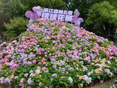 -上海滨江森林公园
