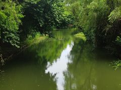 -同里国家湿地公园