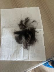 -龙文宝贝上门婴儿理发满月剃胎毛(总店)