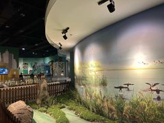 -中国杭州低碳科技馆