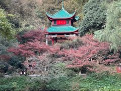 -岳麓山风景名胜区