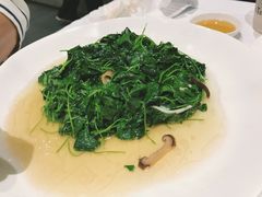 -张生记(丁香国际店)