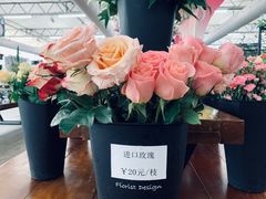 -荷兰花海