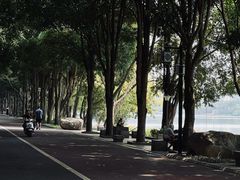 -南宁南湖公园