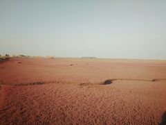 -红海滩国家风景廊道