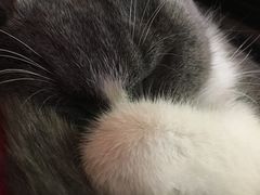 -MIKAKU(万达广场上海宝山店)