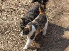 -北京西山国家森林公园