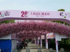 -南汇桃花村