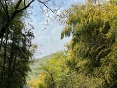 -藏龙百瀑风景区