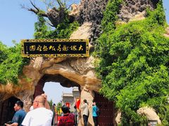 -大槐树寻根祭祖园