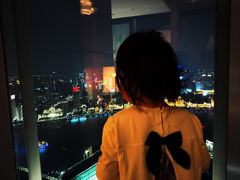 -金轩中餐厅 Jin Xuan(浦东丽思卡尔顿酒店)