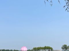 -白洋淀景区