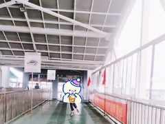 -武汉关码头(轮渡站)