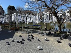 -鹤冈八幡宫