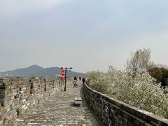 -南京城墙景区