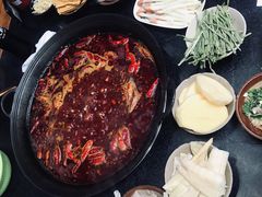 红汤锅底-肥龙火锅(南坪店)